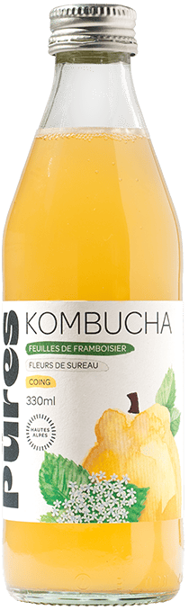 Kombucha Framboisier – Sureau – Coing