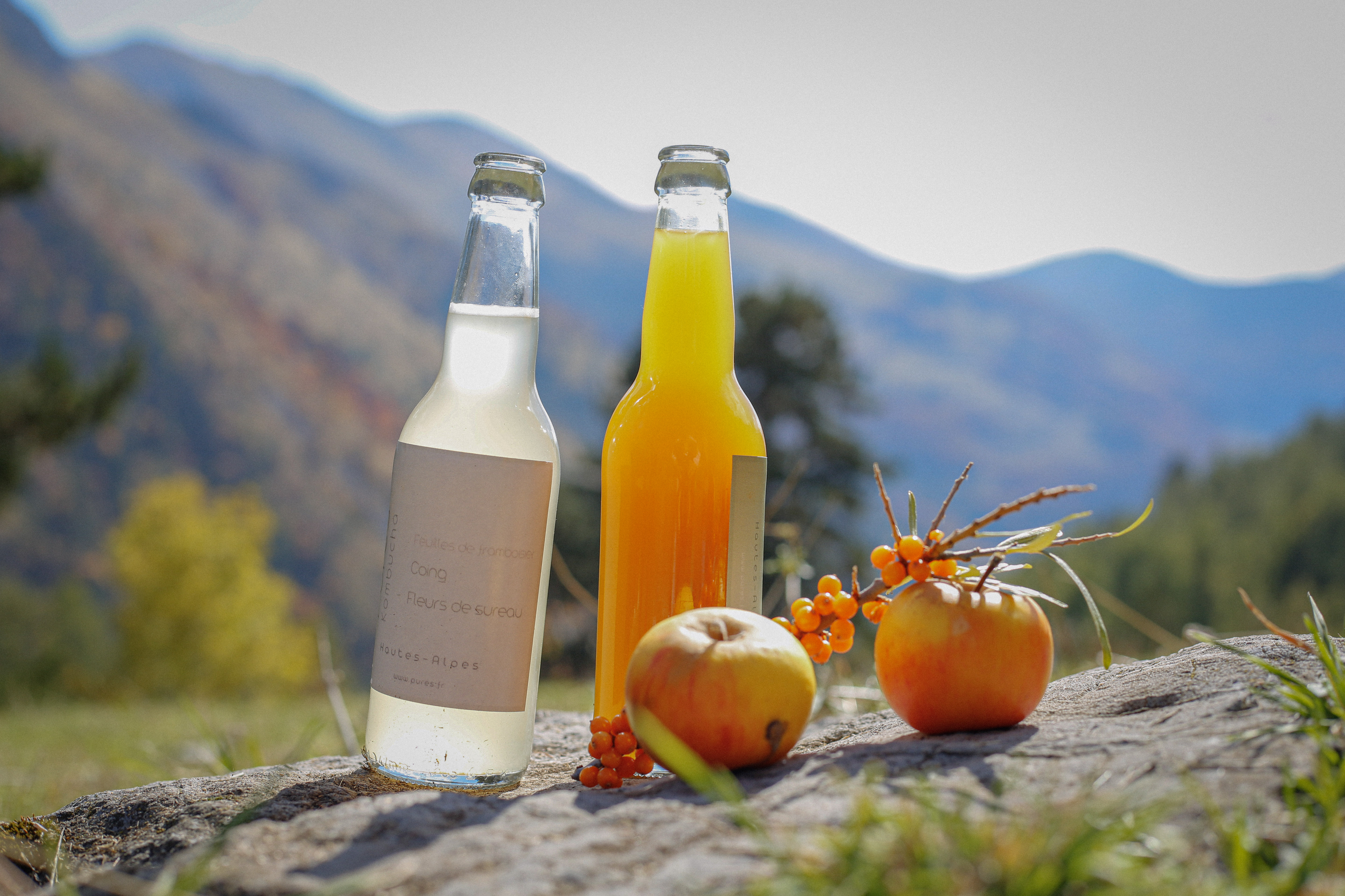 Bouteilles Pures dans la nature des Hautes-Alpes